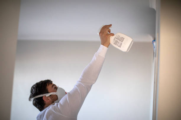 Best Crawl Space Mold Removal  in Vevay, IN
