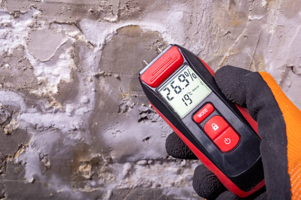 Best Attic Mold Removal  in Vevay, IN