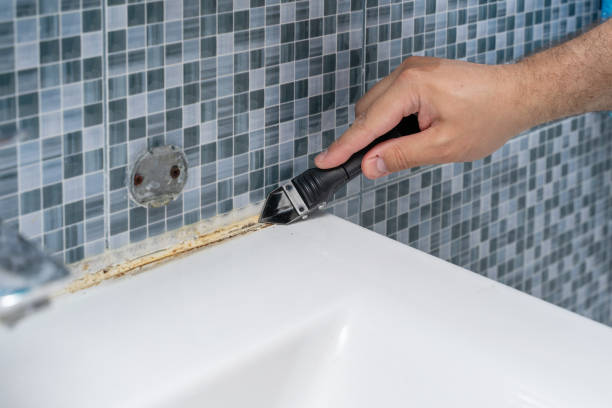 Best Black Mold Removal  in Vevay, IN